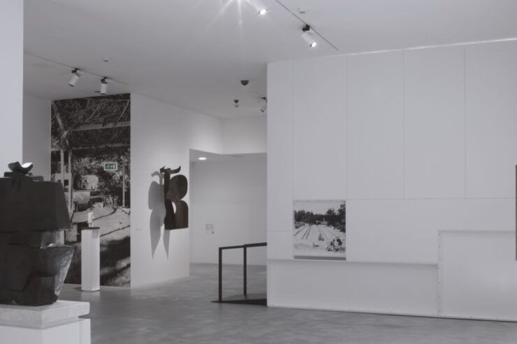 Museo Nivola Entry Ticket - Ticket Details