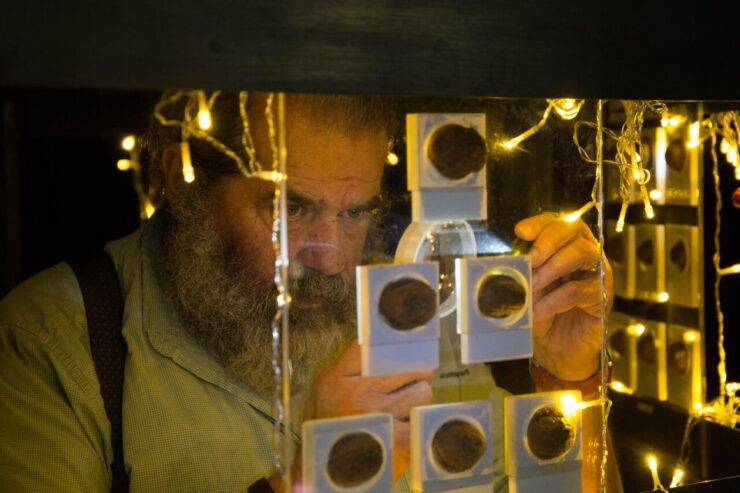 Museodinotte: Food, Wine and Art in the Heart of Naples - Activity Details