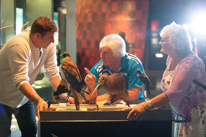 Museum of New Zealand Te Papa: Small Group Guided Tour - Overview of Te Papa Museum