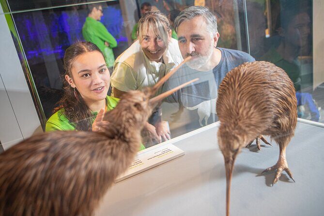 Museum of NZ Te Papa Tongarewa: International Visitor Entry - The Itinerary Breakdown