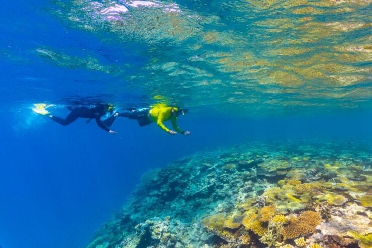 Museum Of Underwater Art & Great Barrier Reef Day Trip - Experience Highlights