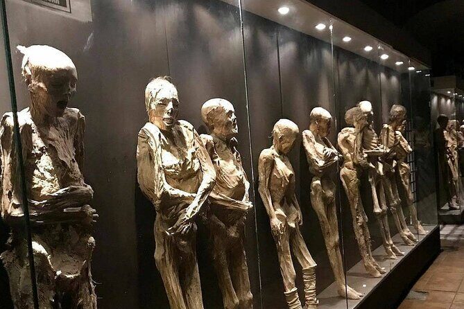 Museums and Mines of Guanajuato Private Tour - Good To Know