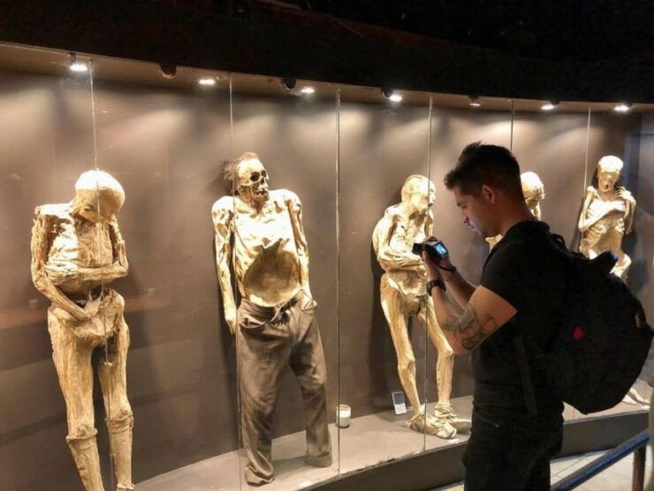 Museums of Guanajuato Private Tour - Tour Activity Details