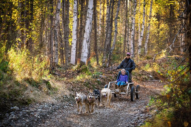Mush Your Own Sled Dog Team (Summer/Fall Tour) - Common Questions