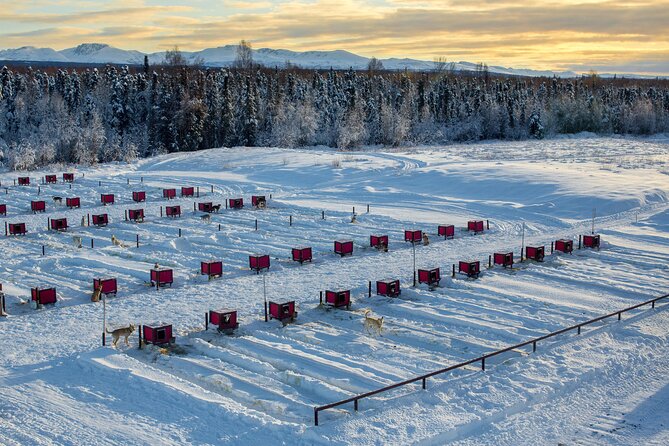 Mush Your Own Sled Dog Team (Winter Tour) in Talkeetna, Alaska - Meeting and Pickup