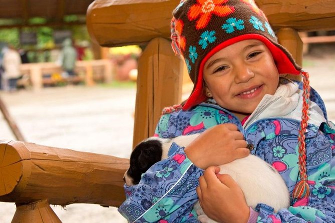 Mushers Camp and Smore Roasting Experience - Activities and Admission