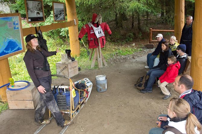 Mushers Camp and Smore Roasting Experience - The Sum Up