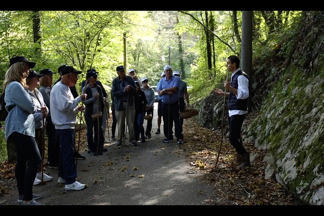Mushroom And Truffle Hunting - Overview and Experience