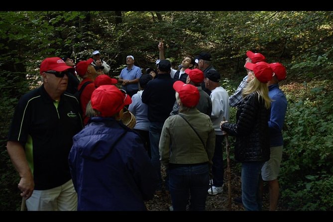 Mushroom And Truffle Hunting - Forest Location and Scenic Views