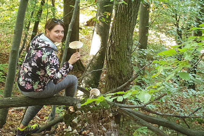 MUSHROOM FORAGING TOUR in Slovenia - Tour Features
