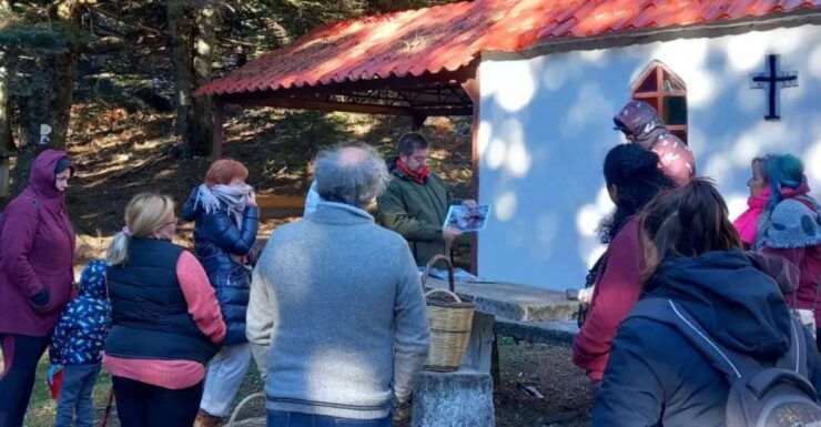 Mushroom Hunting - Good To Know