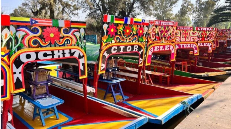 Music and Tequila in Xochimilco visits Coyoacán and CU - Good To Know  