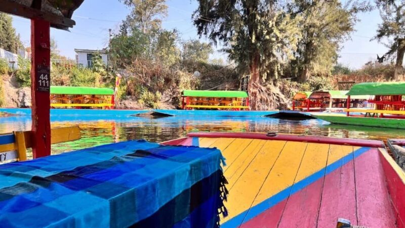 Music and Tequila in Xochimilco visits Coyoacán and CU - Who Is This Tour Best Suited For?