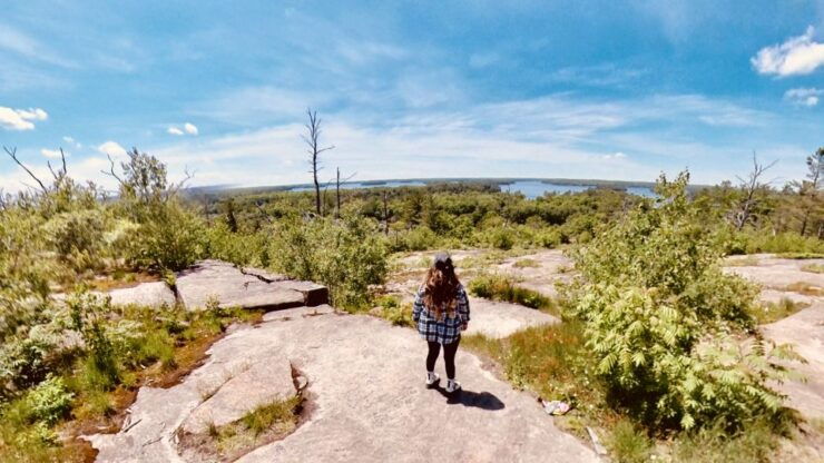 Muskoka: High Falls, Hardy Lake, & Huckleberry Rock Tour - Booking and Logistics