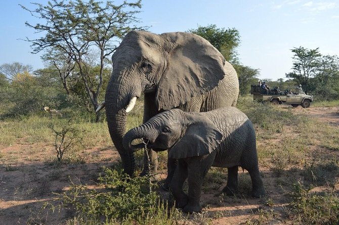 Muslim Cape Town Tour Package - Itinerary