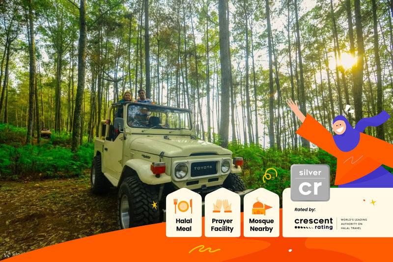 Muslim Friendly: Mount Batur Trekking and Jeep Tour in Bali - Key points before you book
