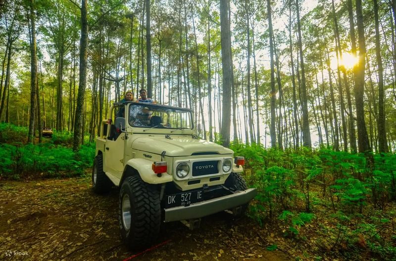 Muslim Friendly: Mount Batur Trekking and Jeep Tour in Bali - A volcano sunrise without the uphill climb