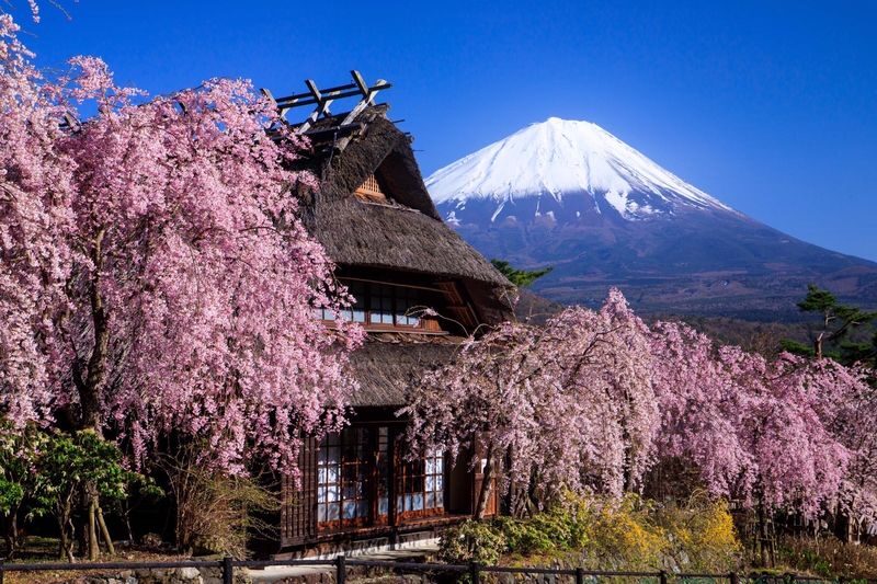 Muslim Friendly Mt. Fuji Day Tour with Halal Lunch & Prayer Time - The early start at Takanawa Gateway Station