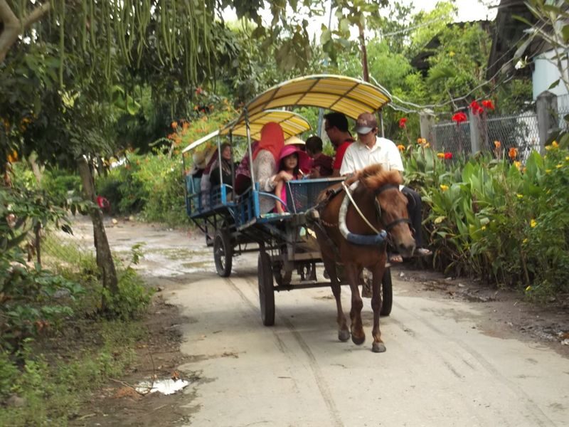Muslim Friendly: My Tho & Thoi Son Island Mekong Delta Day Tour with Halal Lunch - Tropical fruit and a halal lunch