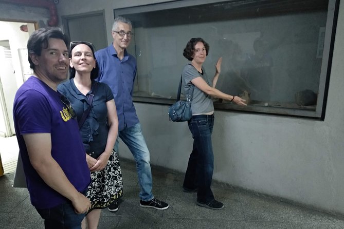 Muslim Madrid - Inclusions