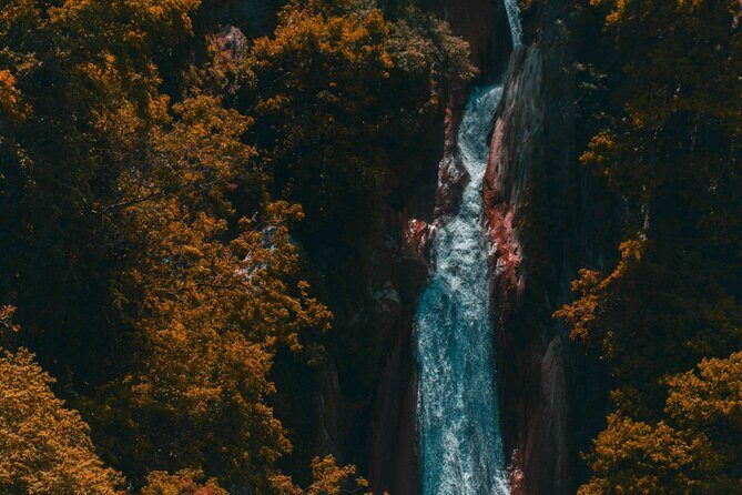 Mussoorie City Full Day Guided Tour - Practical Tips for the Tour  