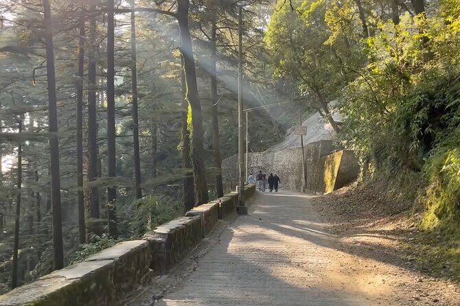 Mussoorie City Full Day Guided Tour - Exploring the Mussoorie City Full Day Guided Tour