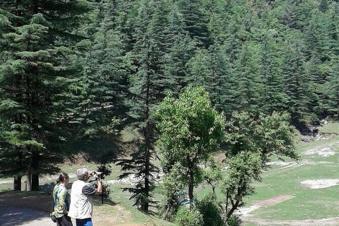 Mussoorie Nature Walk Tour - What is the Mussoorie Nature Walk Tour?