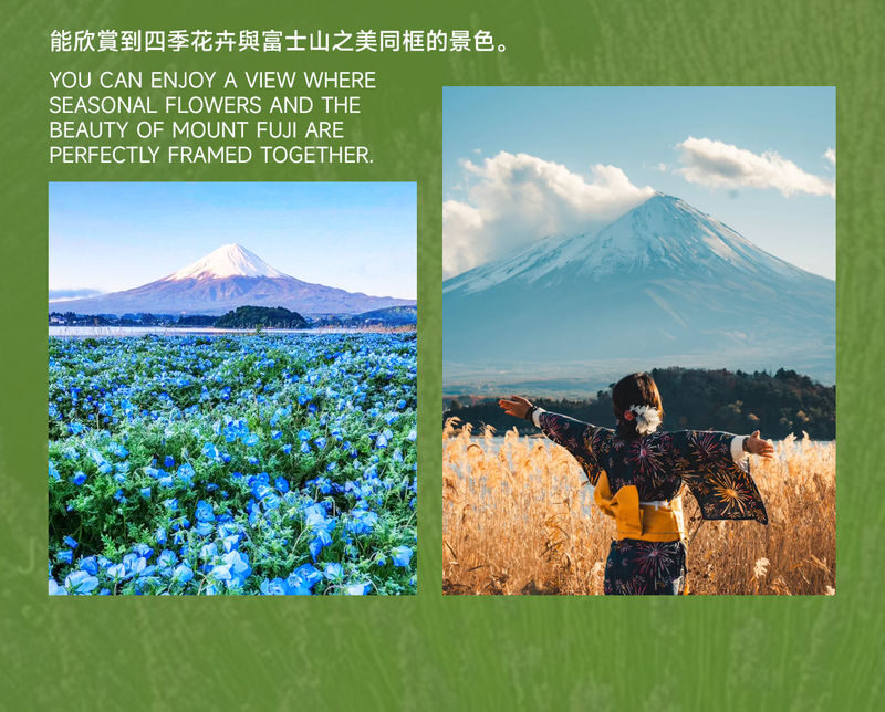 Must-Do for Families: Fuji Safari Park x Oshino Hakkai x Oishi Park | See Animals Up Close - Day Trip to Mount Fuji (From Tokyo) - Oshino Hakkai brings the pace down