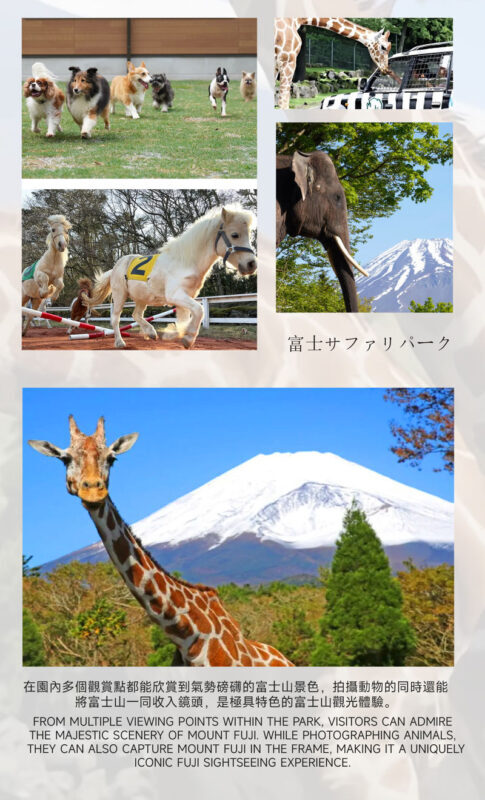 Must-Do for Families: Fuji Safari Park x Oshino Hakkai x Oishi Park | See Animals Up Close - Day Trip to Mount Fuji (From Tokyo) - Transport, timing, and guide service