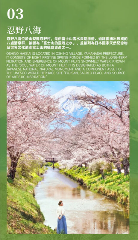 Must-Do for Families: Fuji Safari Park x Oshino Hakkai x Oishi Park | See Animals Up Close - Day Trip to Mount Fuji (From Tokyo) - Is the price worth it for your family?