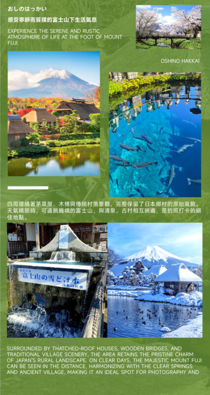 Must-Do for Families: Fuji Safari Park x Oshino Hakkai x Oishi Park | See Animals Up Close - Day Trip to Mount Fuji (From Tokyo) - Should you book this trip?