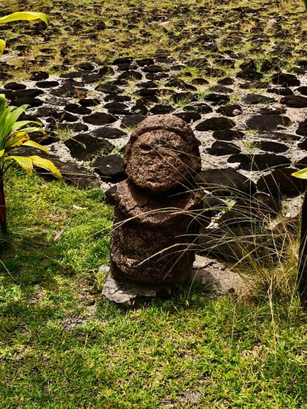 Must-Do : Nature, Culture & Moments Uniques  MirimirI Tours - Good To Know