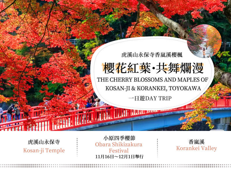 Must-See Autumn Foliage Spots in Nagoya, Japan | Kokeizan Eiho-ji Temple: 700-Year-Old Ginkgo Trees & the Unique Spectacle of Obara Cherry Blossoms and Maple Leaves Together & Korankei Valley Autumn Leaves One-Day Tour - What the schedule feels like on the ground