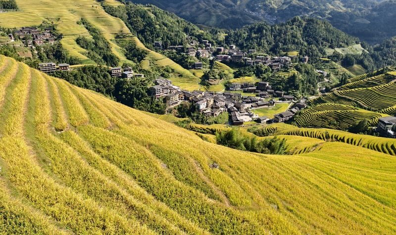 Must-see in Guilin! Longji Rice Terraces Day Tour from Guilin (round trip from Guilin city) - How much time you get, and what you may miss