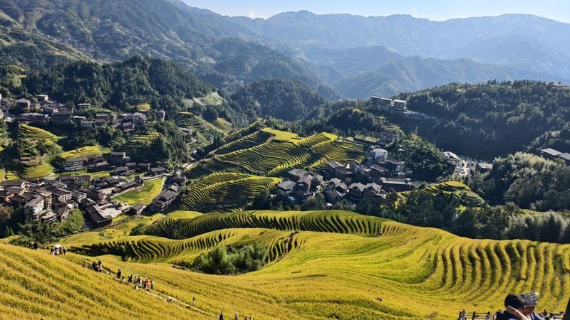 Must-see in Guilin! Longji Rice Terraces Day Tour from Guilin (round trip from Guilin city) - Language, guides, and the small-group feel