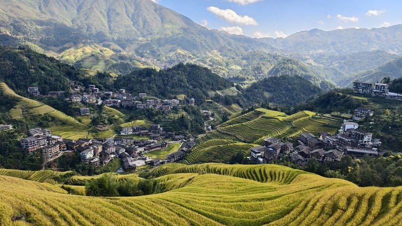 Must-see in Guilin! Longji Rice Terraces Day Tour from Guilin (round trip from Guilin city) - Who should book this Guilin day trip?