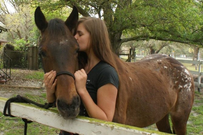 Mustang Rescue & Care Center Half Day Volunteer Experience - Experience Details