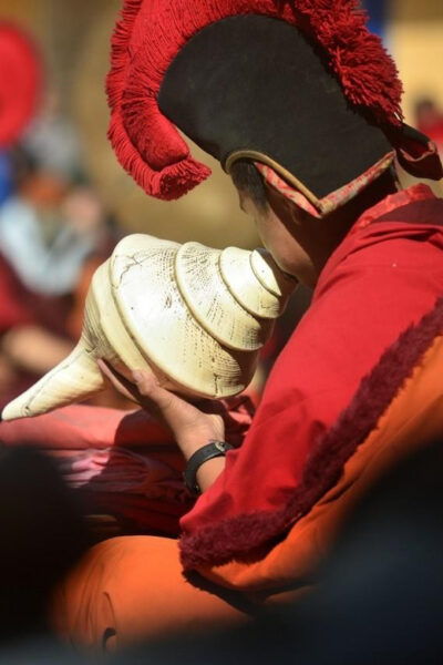 Mustang Tiji Festival 2024 - Break Down