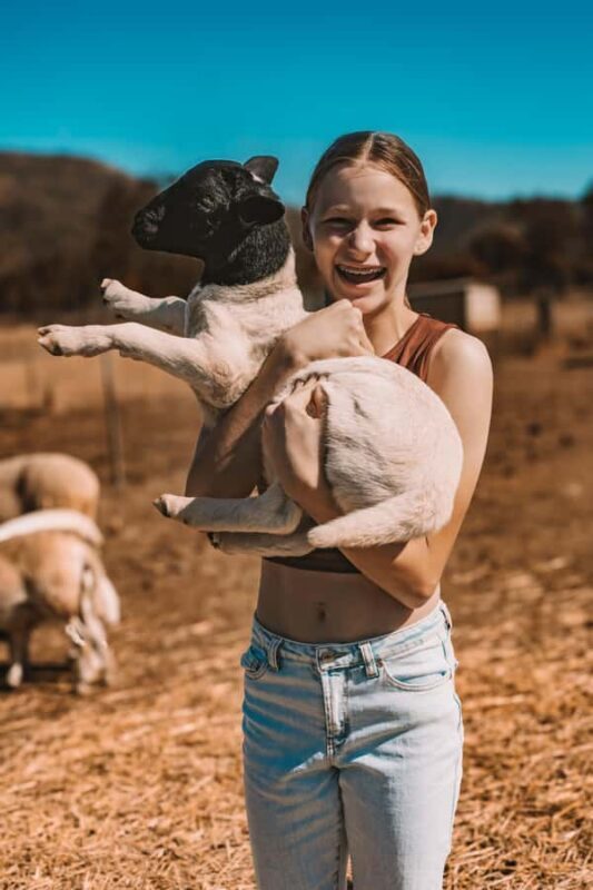 Mutchilba: Farm Animal Feeding - FAQ