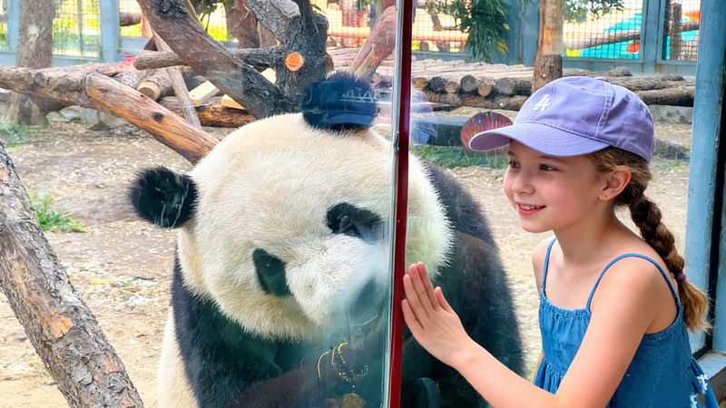 Mutianyu Great Wall & Panda UNESCO Site Private Day Tour - Key points to know