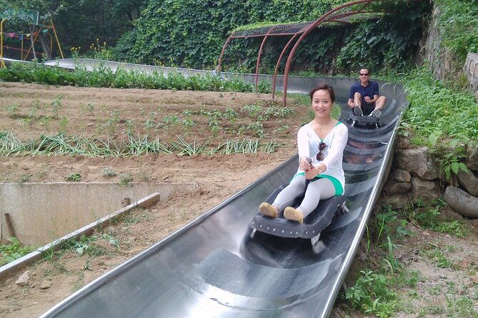 Mutianyu Great Wall Toboggan Private Trip English Speaking Driver - Pricing and Booking Information