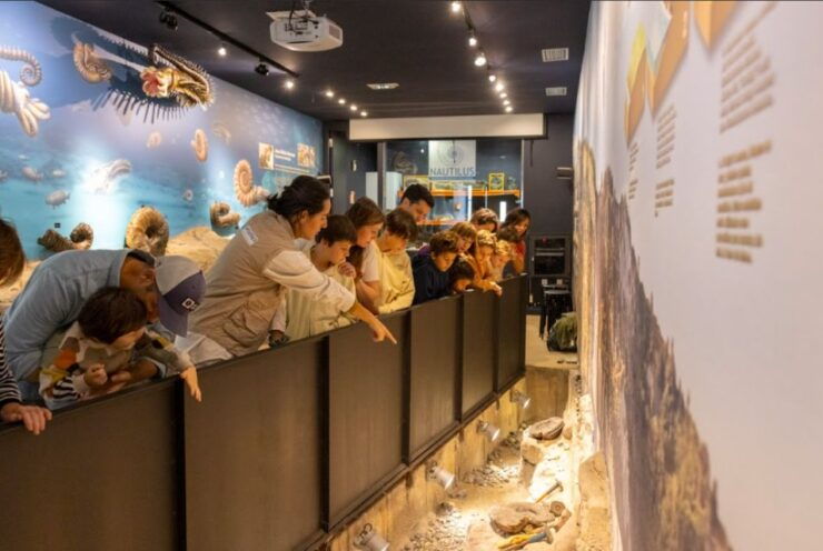 Mutriku: Nautilus Flysch Fossils Experience - Good To Know