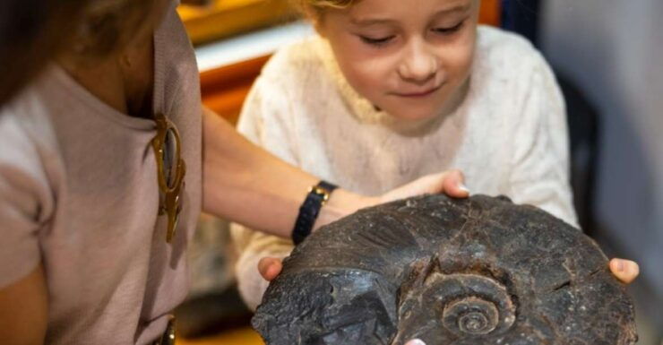 Mutriku: Nautilus Flysch Fossils Experience - Activity Highlights