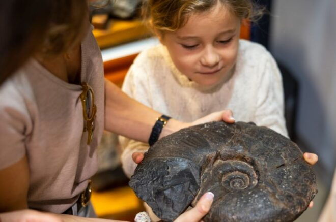 Mutriku: Nautilus Flysch Fossils Experience - Pricing