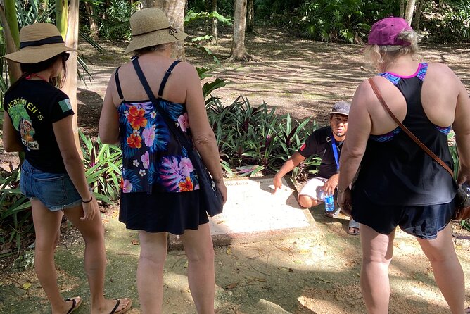 Muyil Ruins Tour (Private, Half Day) - Inclusion of Zona Arqueologica De Muyil