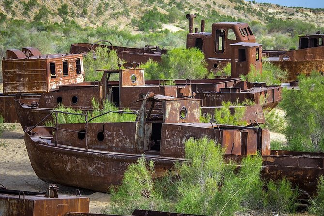 Muynak - Ship Cemetery Tour From Nukus - Additional Information