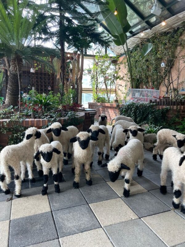 My Animal Story & LEGOLAND Korea Interactive Day Tour - A day built around variety