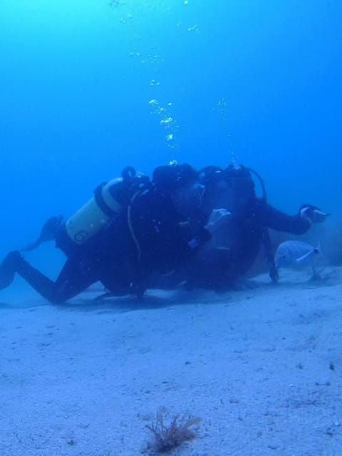 My first scuba dive in the Ocean from Madeira - Good To Know