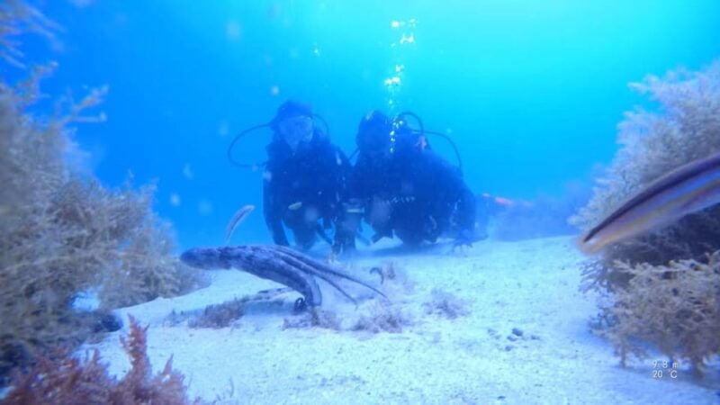 My first scuba dive in the Ocean from Madeira - Why Choose This Experience?