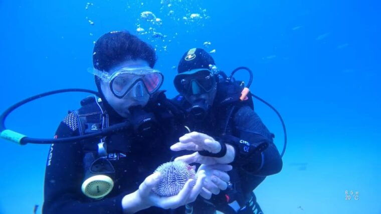 My first scuba dive in the Ocean from Madeira - What Travelers Say